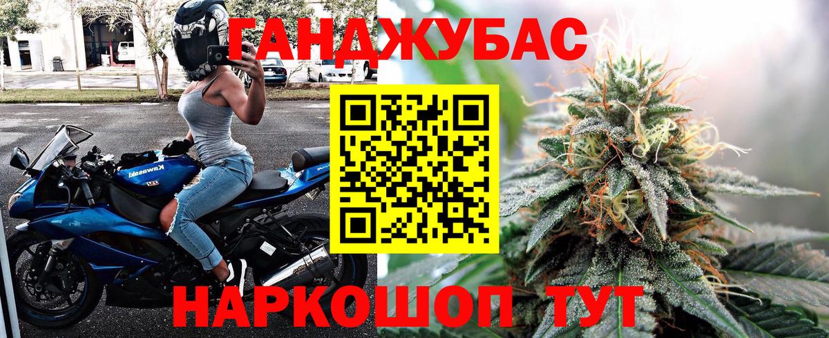 Губкинский  Бошки Шишки семена  Бошки Шишки Bruce Banner  Конопля ГИДРОПОН  Вход с VPN 
